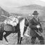 The Last Great Alaska Gold Rush