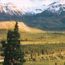 Wilderness Fact Sheet