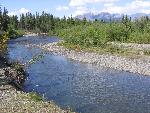 Jack Creek Campsite