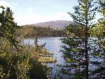 Twin Lakes camping area