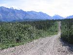 Views along the Nabesna Road