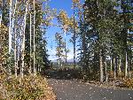 Visitor Center View