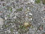 Can you find the nest?
