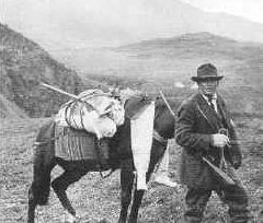 Historic photo of prospector with horse carrying supplies in high elevation tundra.