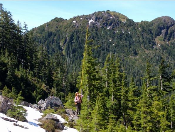 Coastal Alaska Forestry Inventory