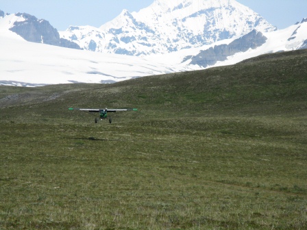 Landing on the Wrangell Plateau