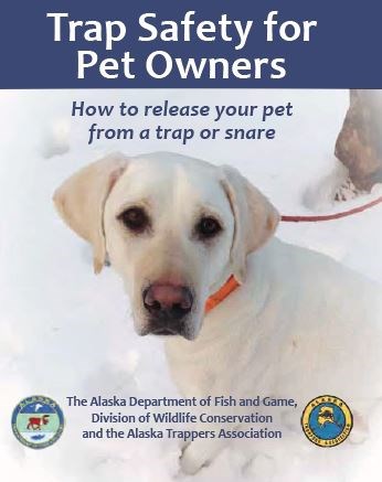 Pet Safety with traps and snares