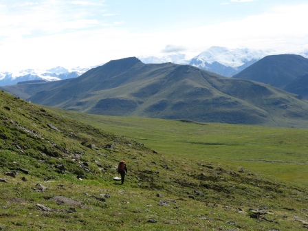 Hiker near Horsfeld, Wrangell-St Elias NP&P