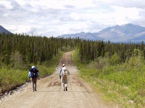 Hiking along the Nabesna Road