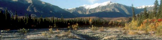 along Lost Creek Trail