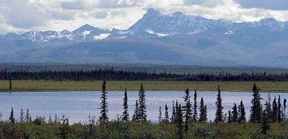 View along the Nabesna Road