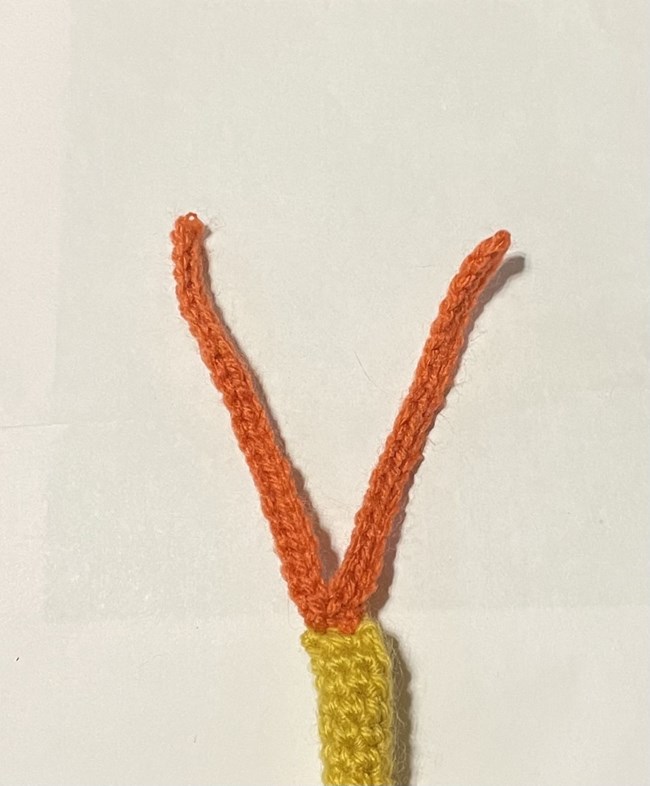 A yellow and salmon colored yarn crochet model of the telson and caudal furca of a Triops. It is in the shape of a V.