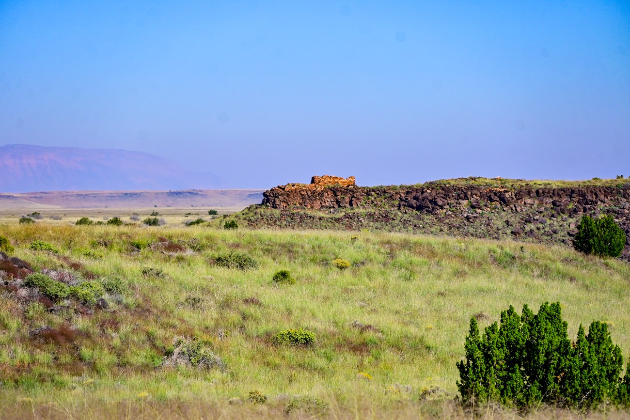 A pueblo ruins sits on a hilltop in the distance.  The foreground is desert plants.