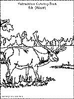 yellowstone coloring pages