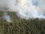 Stinky Fire Aug 19, 2006