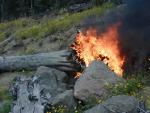 Burning snag along East Entrance Road 8-17-2003