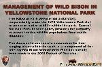 02. Management of Wild Bison