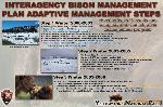 05. IBMP Adaptive Management Steps