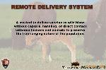 11. Remote Delivery System