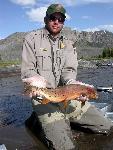 Yellowstone Cutthroat Trout