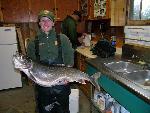 Lake trout