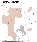 Brook Trout Distribution