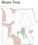 Brown Distribution Map