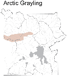 Arctic Grayling Distribution