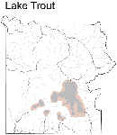 Lake Trout Distribution