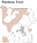 Rainbow Trout Distribution