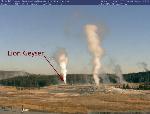 Lion Geyser