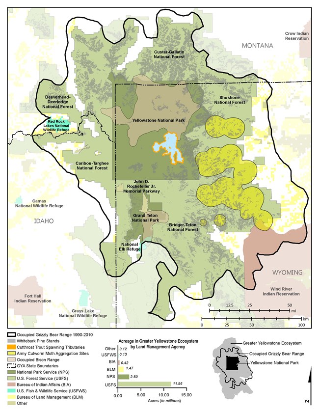 Figure 1. Distribution of four concentrated high-caloric grizzly bear foods (army cutworm moths, bison, cutthroat trout, and whitebark pine) within occupied grizzly bear range under different land management agency jurisdictions in the Greater Yellowstone