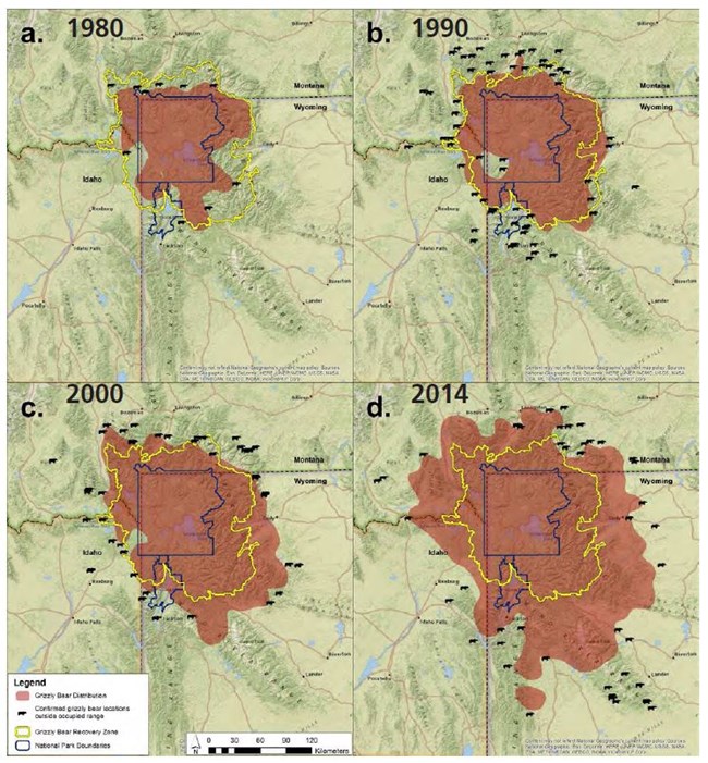 Figure 1.  Grizzly bear distribution in the GYE from the 1980s through 2014.