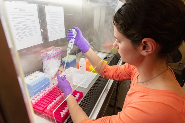 eDNA testing in a lab