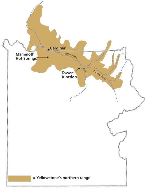 Boundary of Yellowstone national Park with area surrounding Yellowstone and Lamar Rivers marked as Yellowstone's northern range inside and outside of boundary