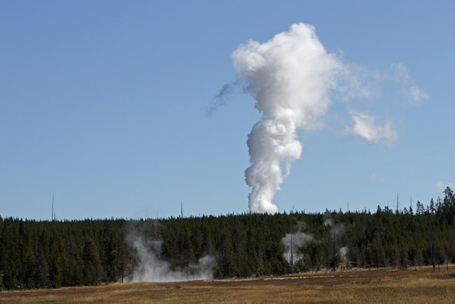 A tall column of steam rises high above a forest.