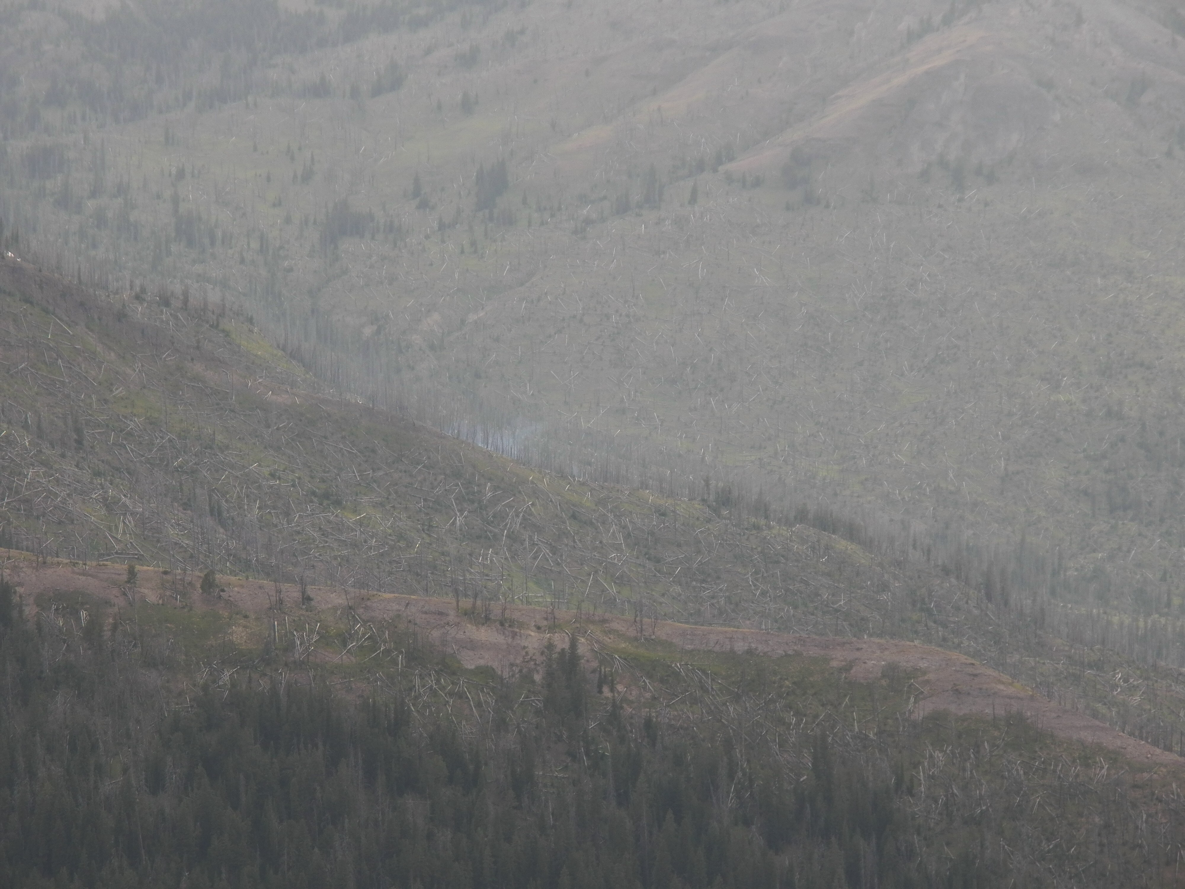 Smoke rising from a canyon