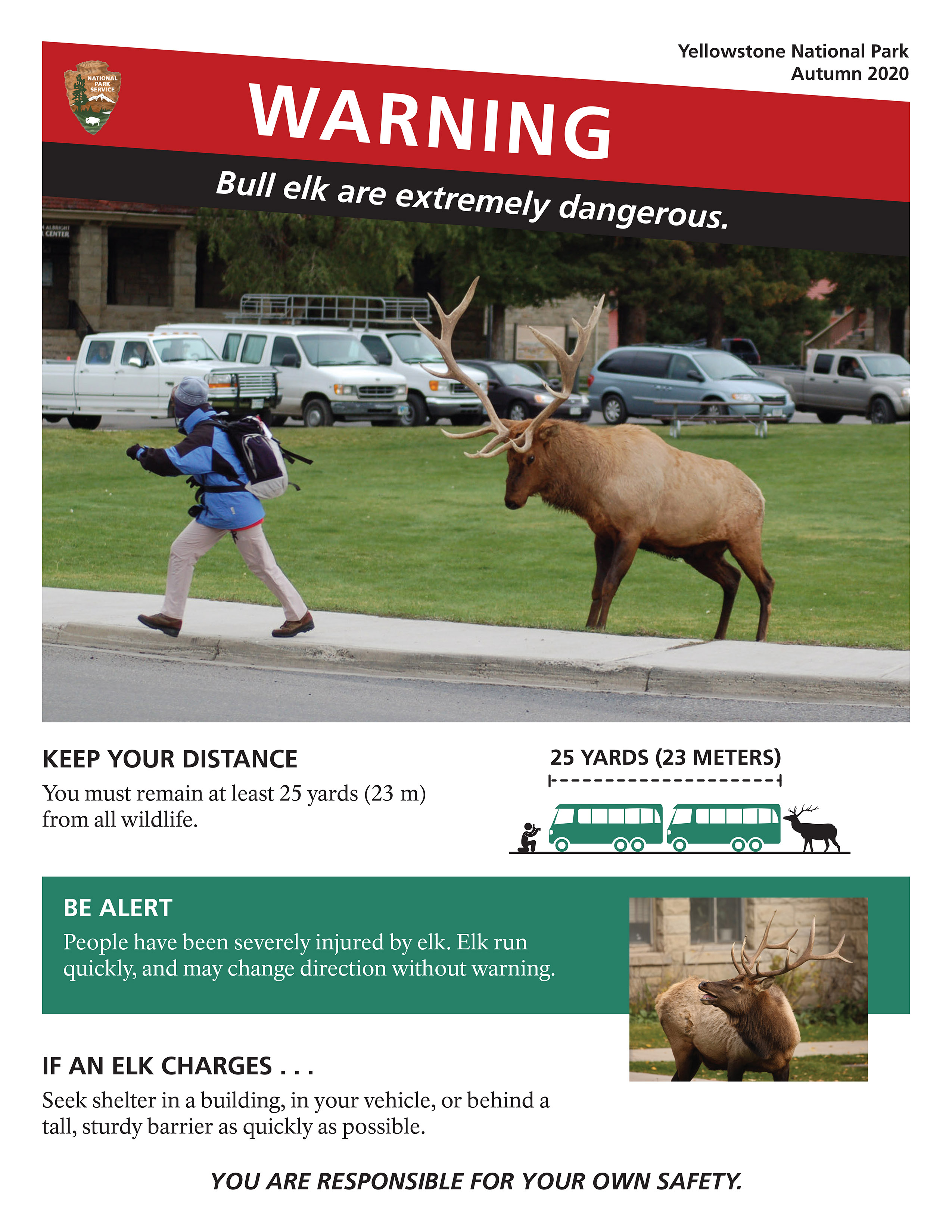 A poster visualizing how elk can chase people and the distance one should keep from elk