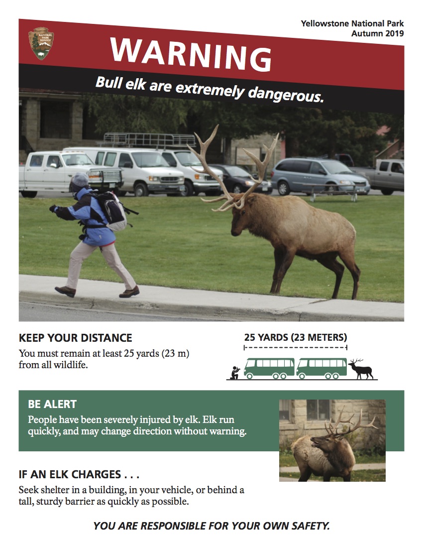 poster of person walking away from elk