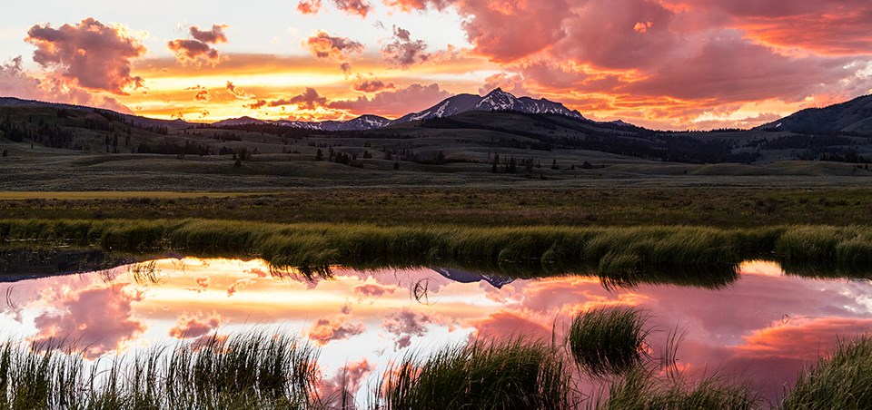 Orange and red clouds and a landscape reflected in a marshy pond.