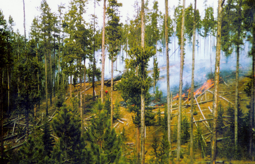 Preparing line