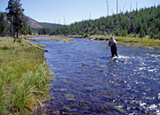 A angler casts his fishing line into the clear waters of the Gibbon River.