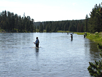 Anglers line up along the famous Yellowstone River on opening day in Yellowstone National Park.