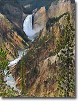 Lower Falls of the Grand Canyon of the Yellowstone