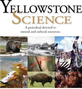 Composite photo of a grizzly, historic Ft. Yellowstone, native American ceremony, dragonfly, and bison.  
