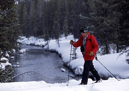 A cross country skier passes a river in YNP.