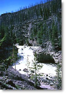 Firehole Falls plunge 40 feet