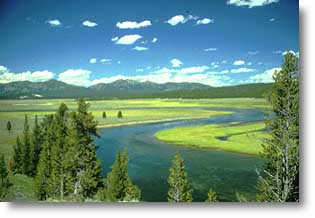 A shot of Hayden Valley
