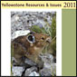Resource & Issues Cover