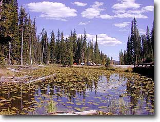 The waters of Isa Lake at the summit of Craig's Pass flow into both the Pacific and the Atlantic Oceans.